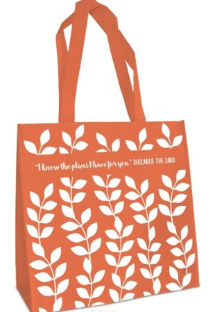 Eco tote bag I know the plans