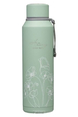 stainless steel waterbottle mercy Hazy