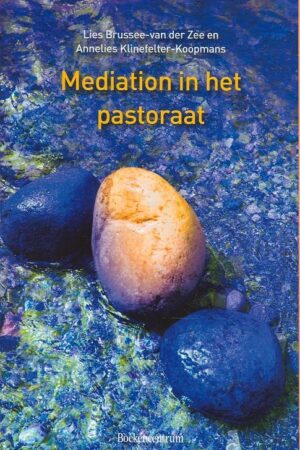 Mediation in het pastoraat