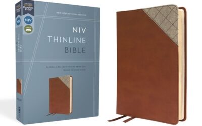Brown, Imitation Leather, NIV – Thinline Bible