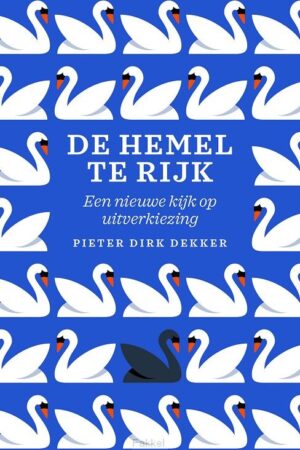 Hemel te rijk