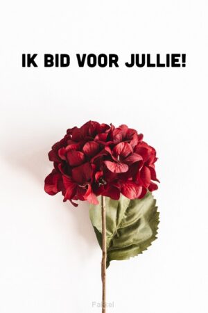 ik bid voor jullie - hortensia
