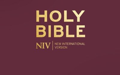 Dark red – Bonded, NIV Pocket Bible with Gold Zip