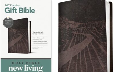 Brown, starlight path, Leatherlook, NLT Premium Gift Bible,