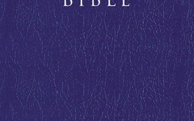 Blue, Leatherlook, NIV – Gift & Award Bible
