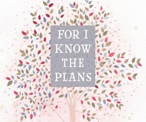 Broadstreet, Collur, bonded, zip, For I know the plans