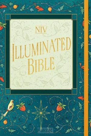 Colour, Hardcover, NIV - Illuminated Bible