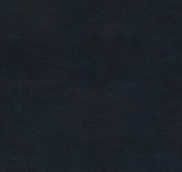 Navy, Trutone, ESV – Value Compact Bible