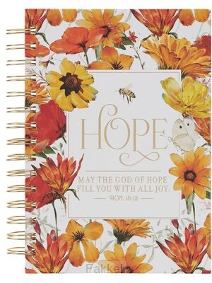 Journal God of Hope