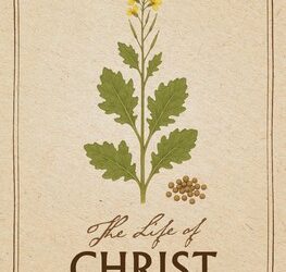 Life of Christ