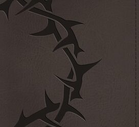 ESV – Large Print Compact Bible -RL