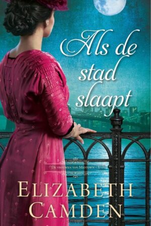 Als de stad slaapt
