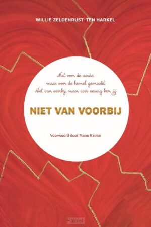 Niet van voorbij