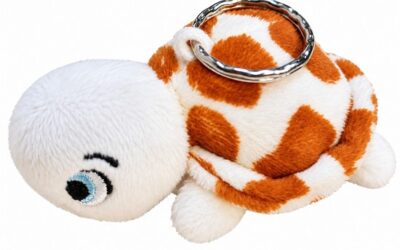 Sleutelhanger schildpad Jij bent waardev