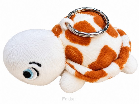 Sleutelhanger schildpad Jij bent waardev