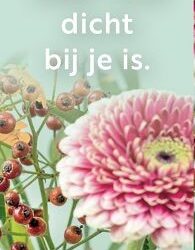 Thuis is elke plek waar God dicht bij je